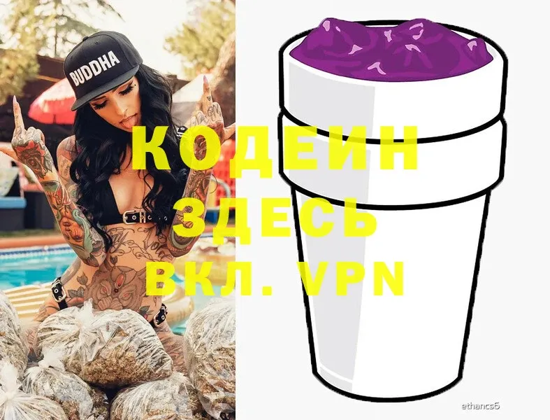 где купить наркотик  Вилючинск  это формула  Кодеиновый сироп Lean Purple Drank 